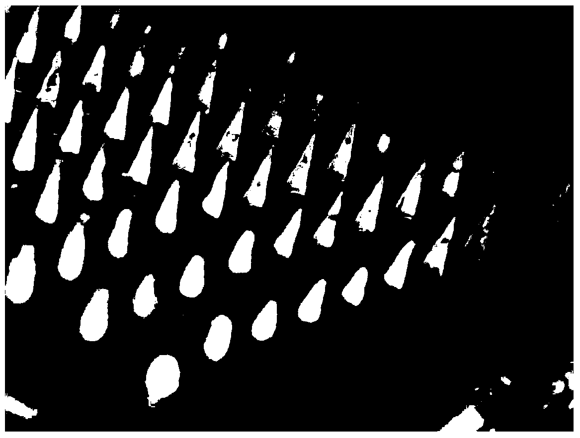 Temperature-sensitive soluble microneedle and preparation method thereof