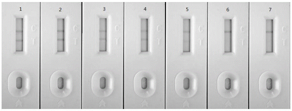 Detection test paper for forest encephalitis antibody, test paper preparation method and detection kit