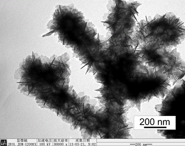 Nano fiber coupling structure gas sensitive material and preparation method and application thereof