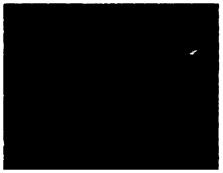 Method for evaluating remote-sensing image fusion effect