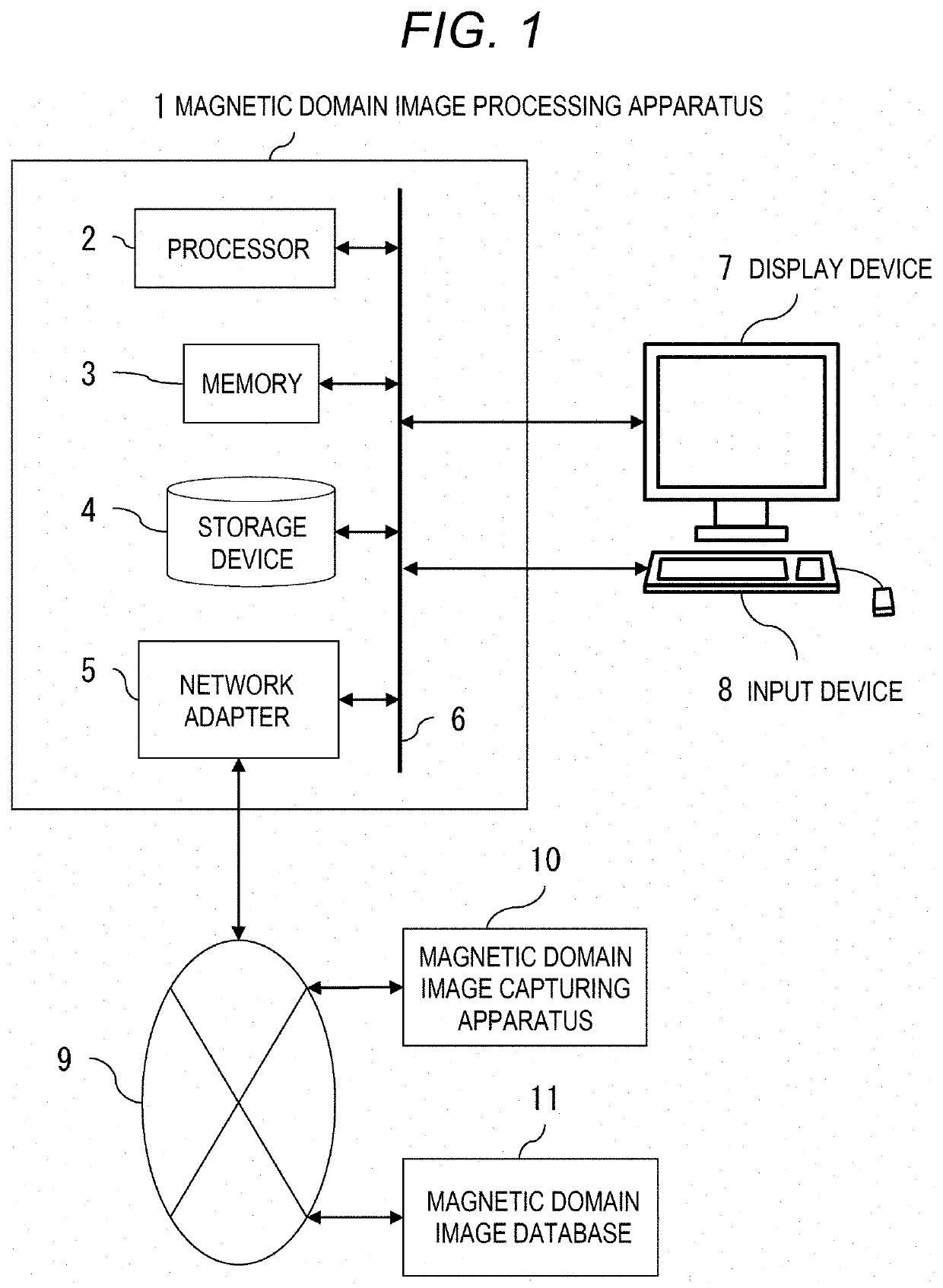 Magnetic Domain Image Processing Apparatus and Magnetic Domain Image Processing Method