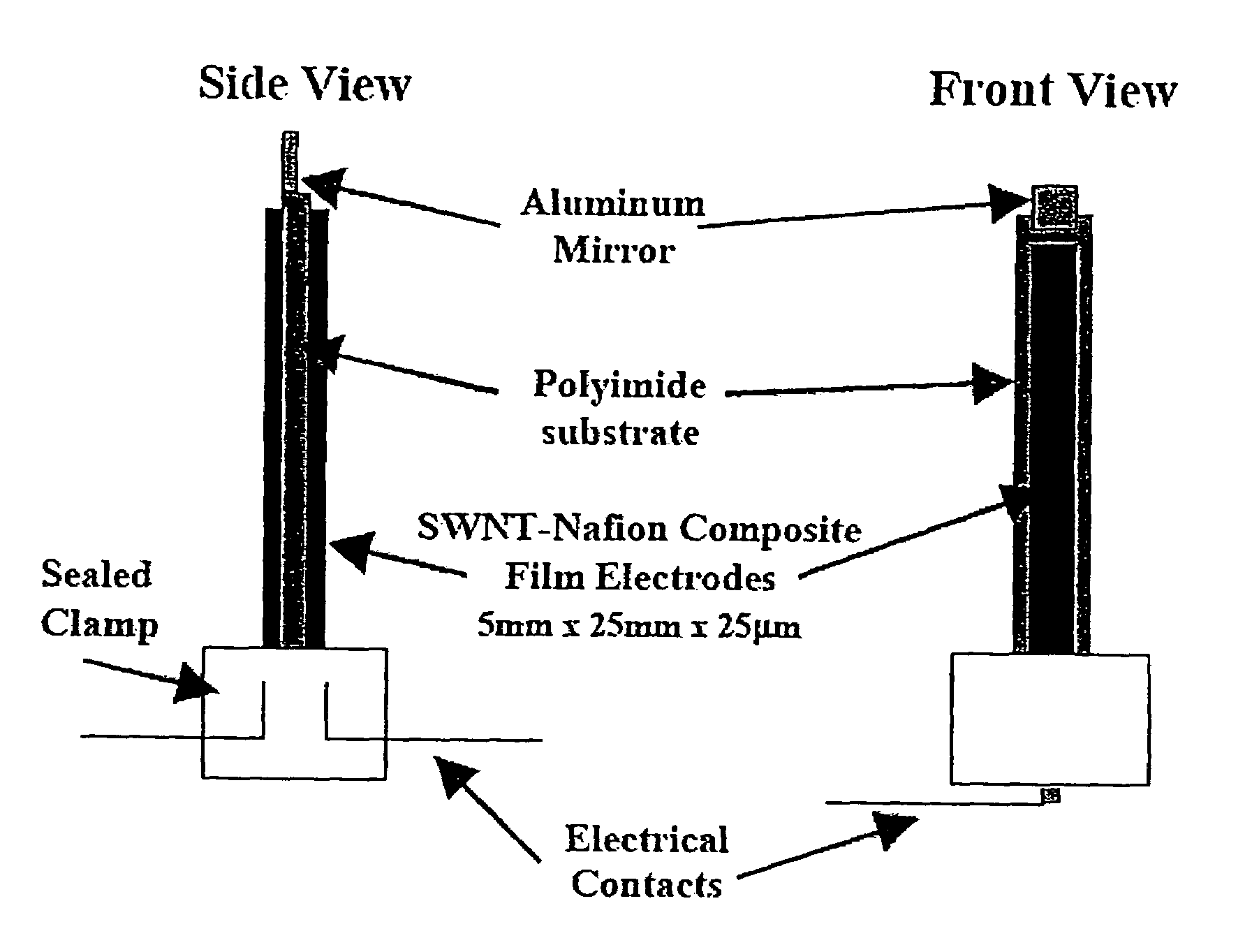 Carbon nanotube-polymer composite actuators