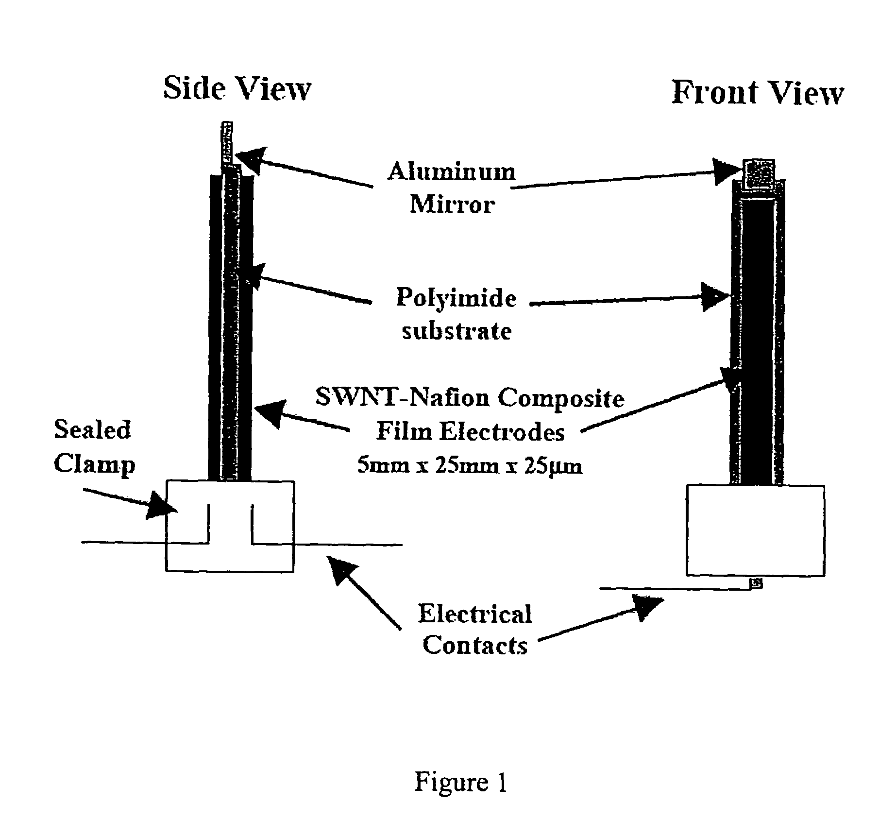 Carbon nanotube-polymer composite actuators