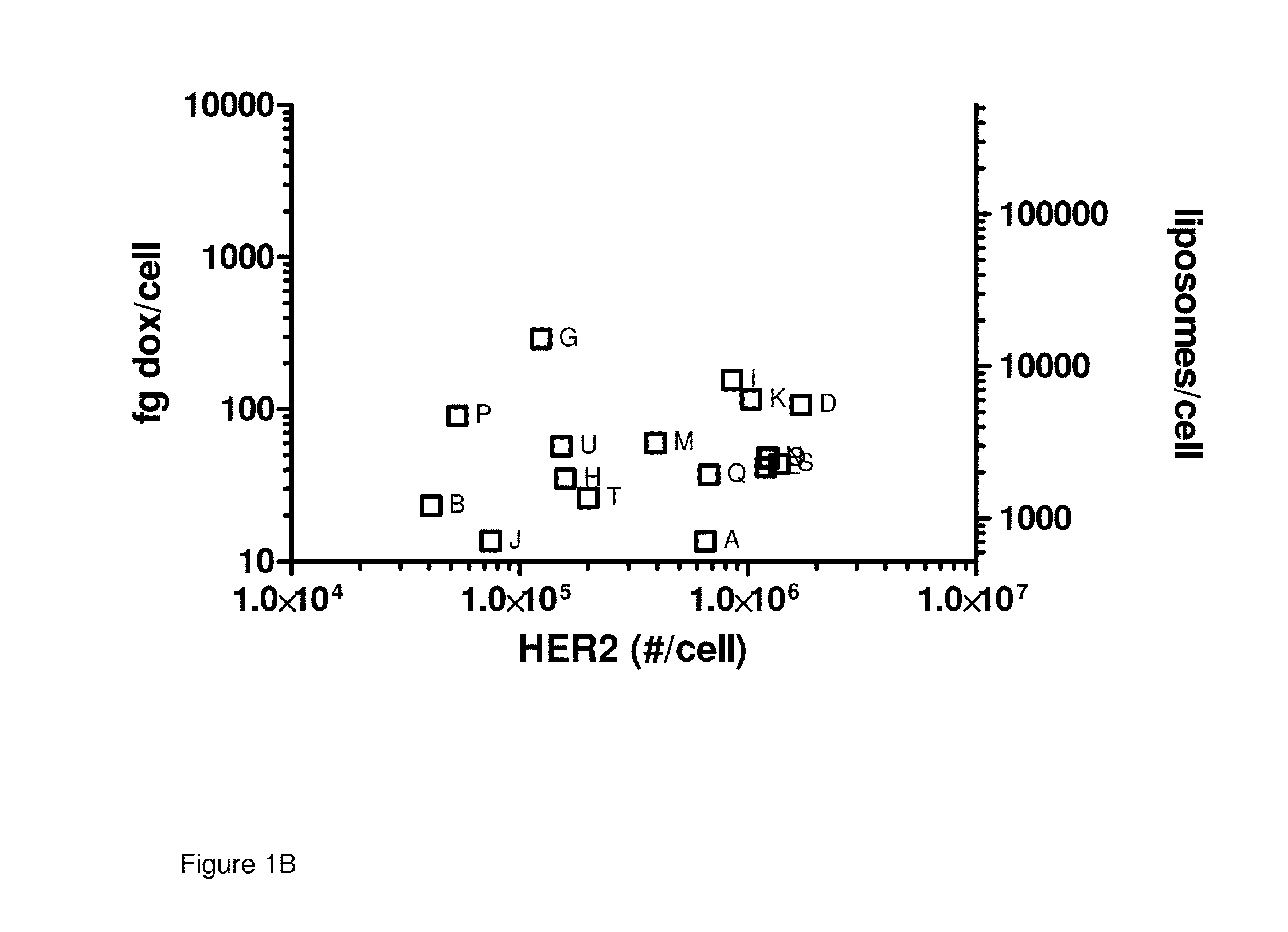 Dosage and administration for preventing cardiotoxicity in treatment with erbb2-targeted immunoliposomes comprising anthracyclin chemotherapeutic agents