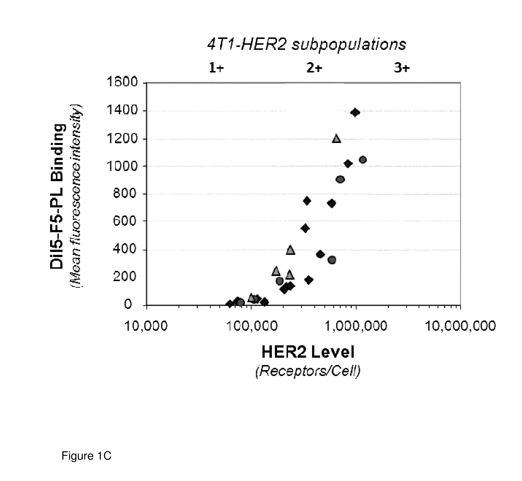 Dosage and administration for preventing cardiotoxicity in treatment with erbb2-targeted immunoliposomes comprising anthracyclin chemotherapeutic agents