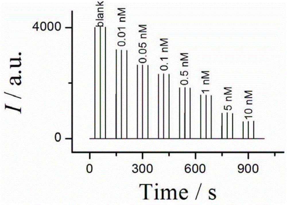 Solid electrochemical luminescence sensor for detecting mercury ions and preparation method and application of solid electrochemical luminescence sensor for detecting mercury ions