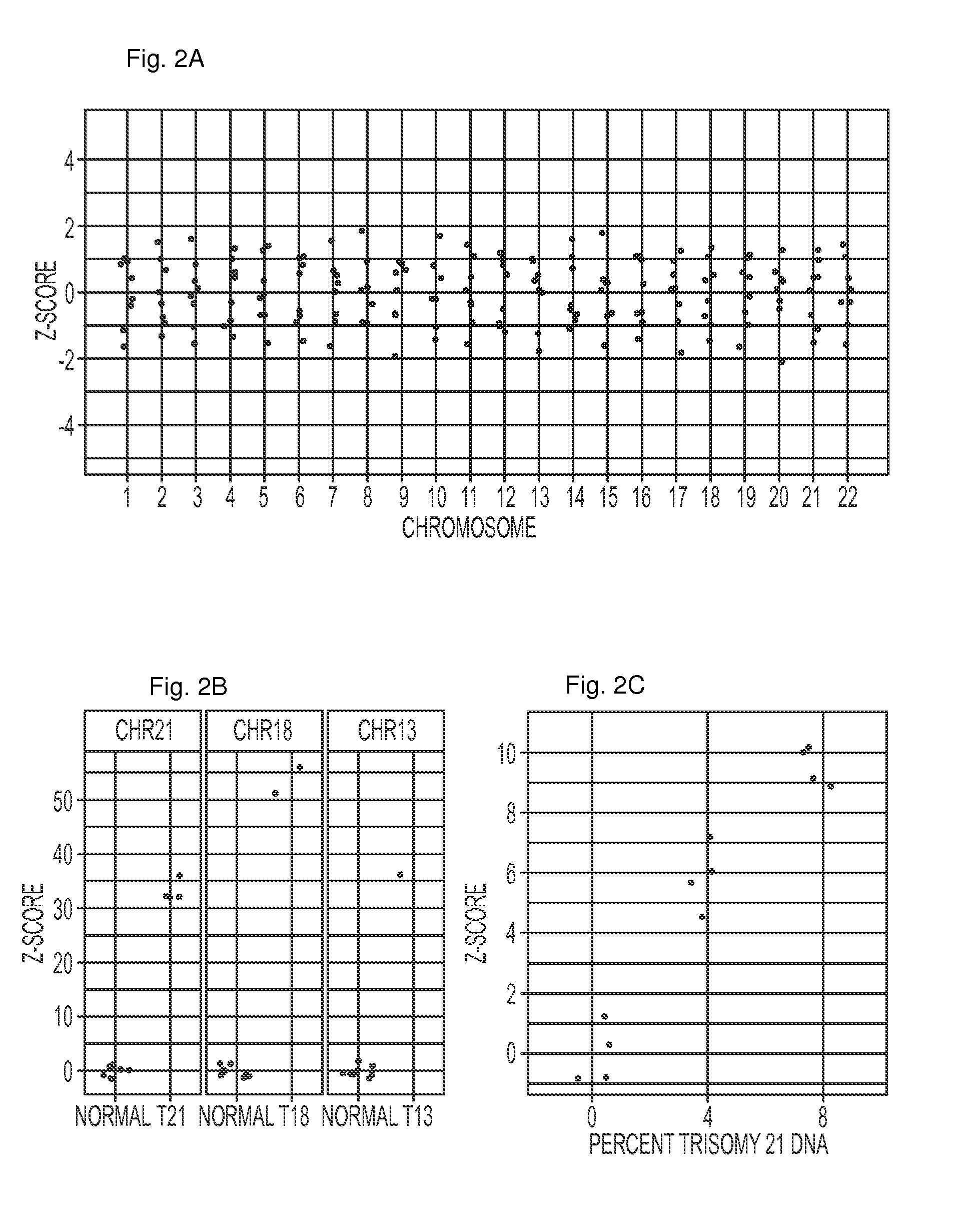 Rapid aneuploidy detection