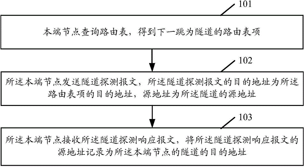 Automatic tunnel establishing method and device