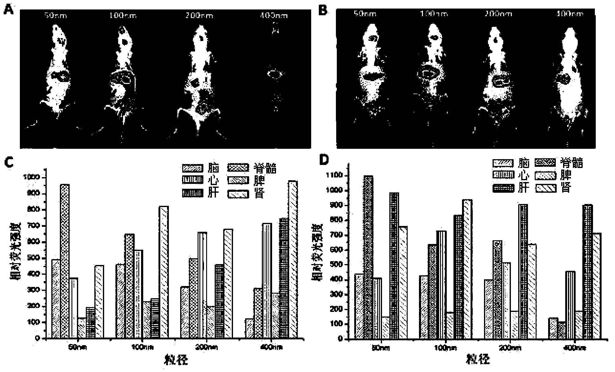 Nano drug carrier targeting to central nervous system