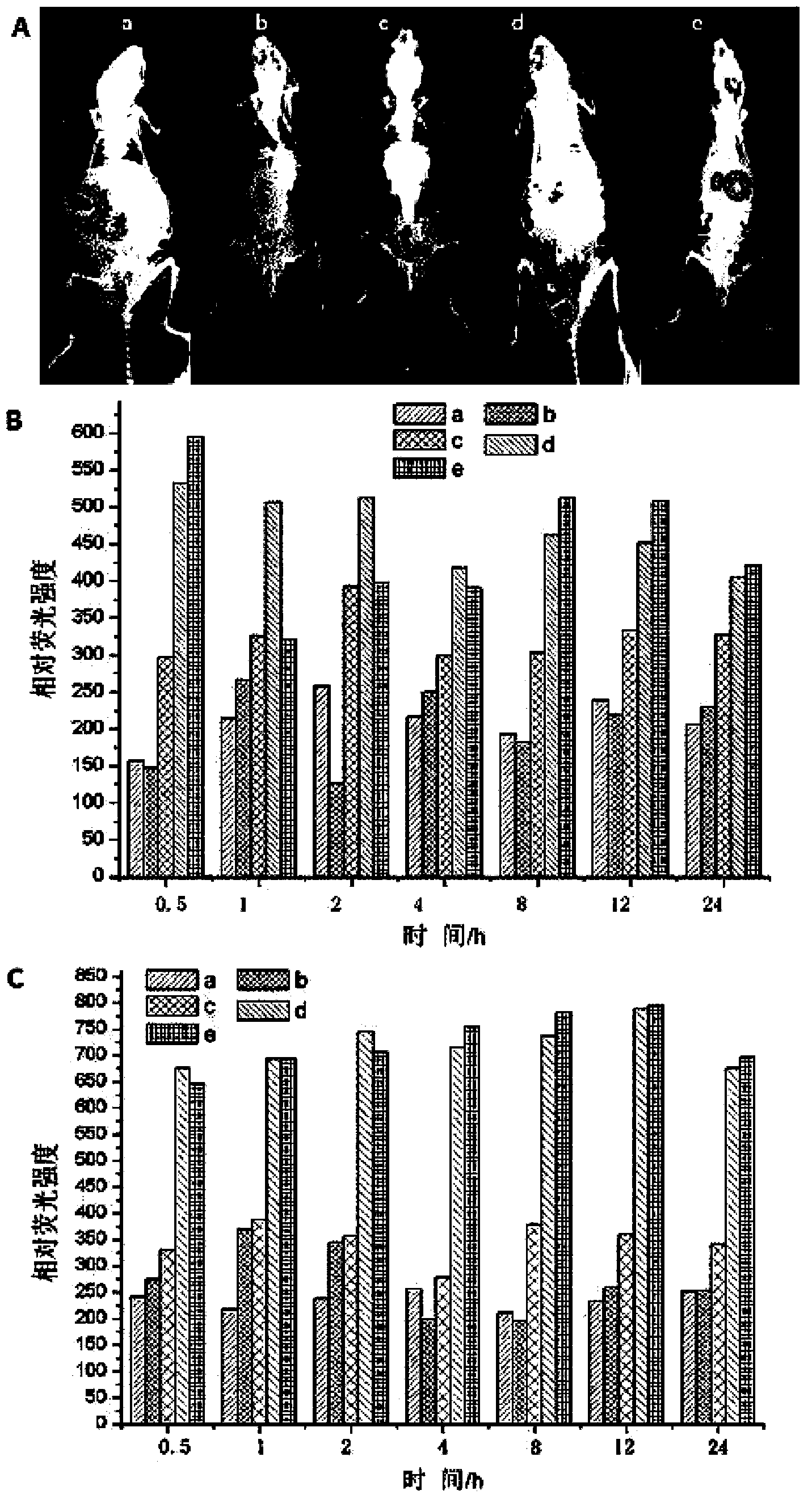 Nano drug carrier targeting to central nervous system