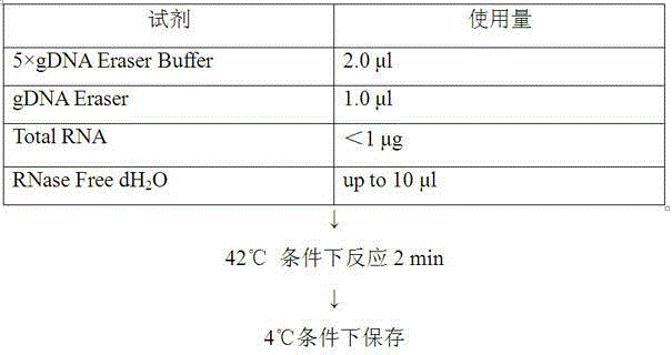 Antitumor drug prepared through combination of purine deoxynucleoside and other nucleosides or basic groups as well as preparation method and applications thereof