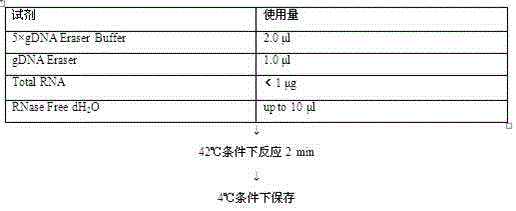 Antitumor drug prepared through combination of purine deoxynucleoside and other nucleosides or basic groups as well as preparation method and applications thereof