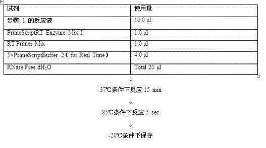 Antitumor drug prepared through combination of purine deoxynucleoside and other nucleosides or basic groups as well as preparation method and applications thereof