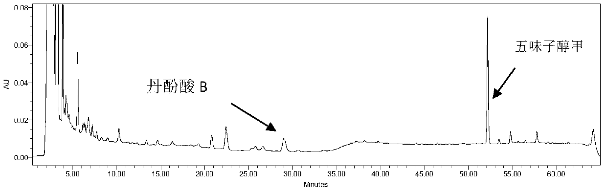 Method of Determination of Salvianolic Acid B and Schisandrin A in Yixin Fumai Granules by One Test and Multiple Evaluation