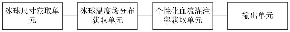 Biological tissue personalized blood perfusion rate evaluation method and system