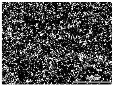 Method for rapidly refining metastable austenite grain structure