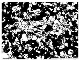 Method for rapidly refining metastable austenite grain structure