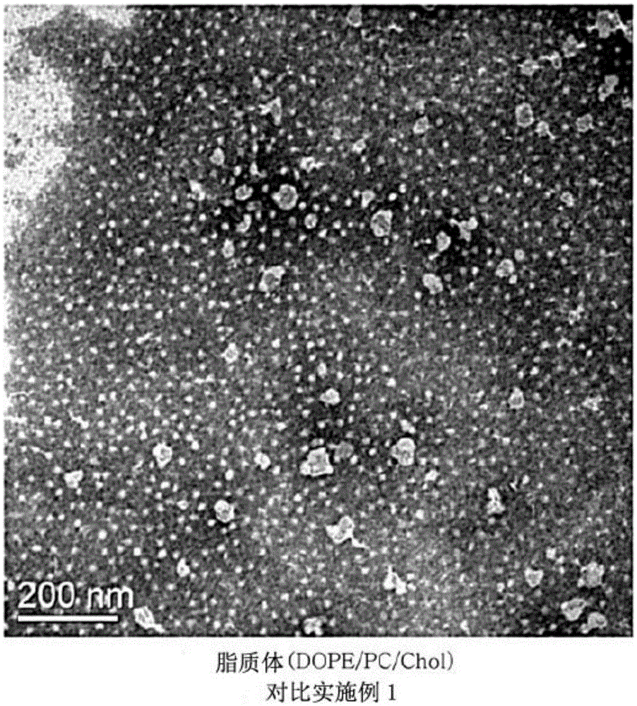 Cell penetrating peptide introduced drug-delivery carrier comprising macromolecule