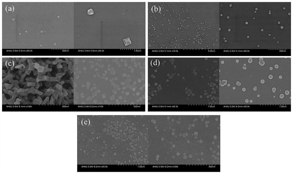 Method for monitoring fermentation degree of black tea through hyperspectral coupled nanocrystallization colorimetric sensor