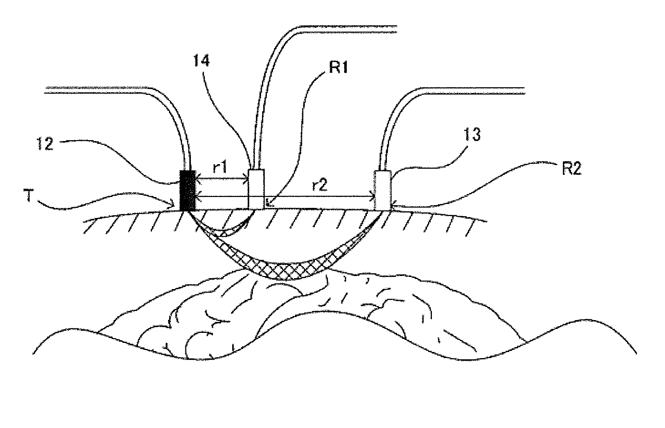 Optical biological measurement device and analysis method using the same