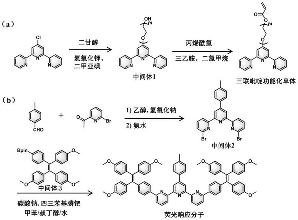 Ultrasonic response type polymer fluorescent hydrogel material as well as preparation method and application thereof