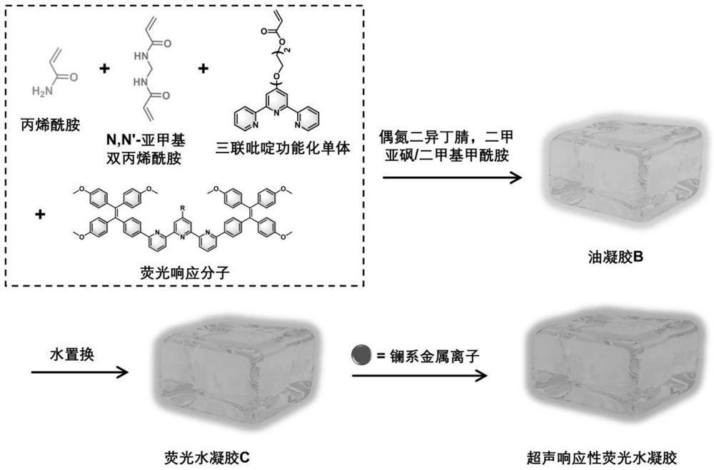 Ultrasonic response type polymer fluorescent hydrogel material as well as preparation method and application thereof