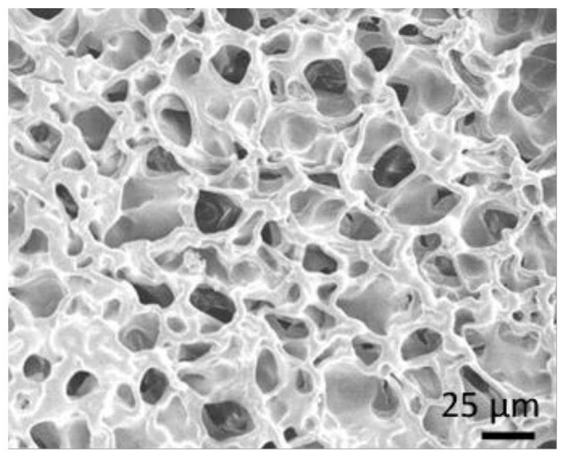 Ultrasonic response type polymer fluorescent hydrogel material as well as preparation method and application thereof