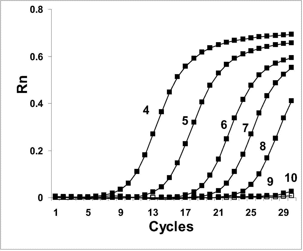 Gene mutation detection primer and application