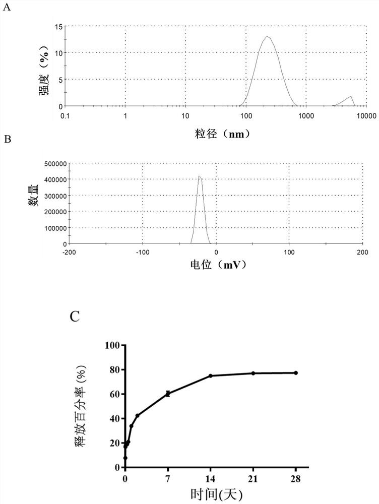 Application of ROS response type nanoparticles coated with hematopoietic growth factors in preparation of drugs for treating hematopoietic injury