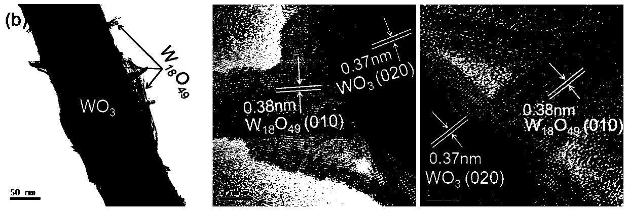 Tungsten oxide homogeneous junction composite photocatalyst as well as preparation method and application thereof