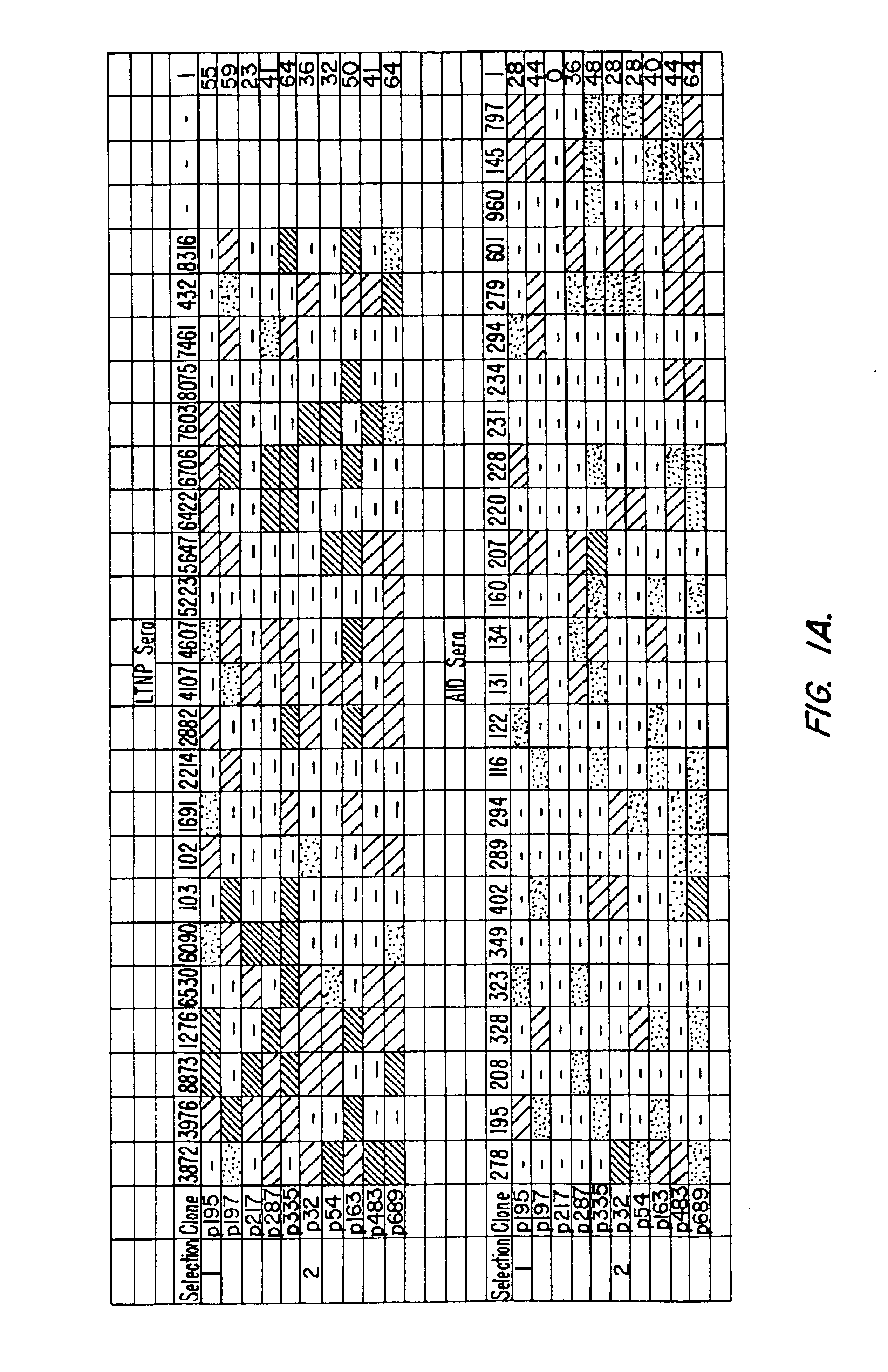 HIV related peptides