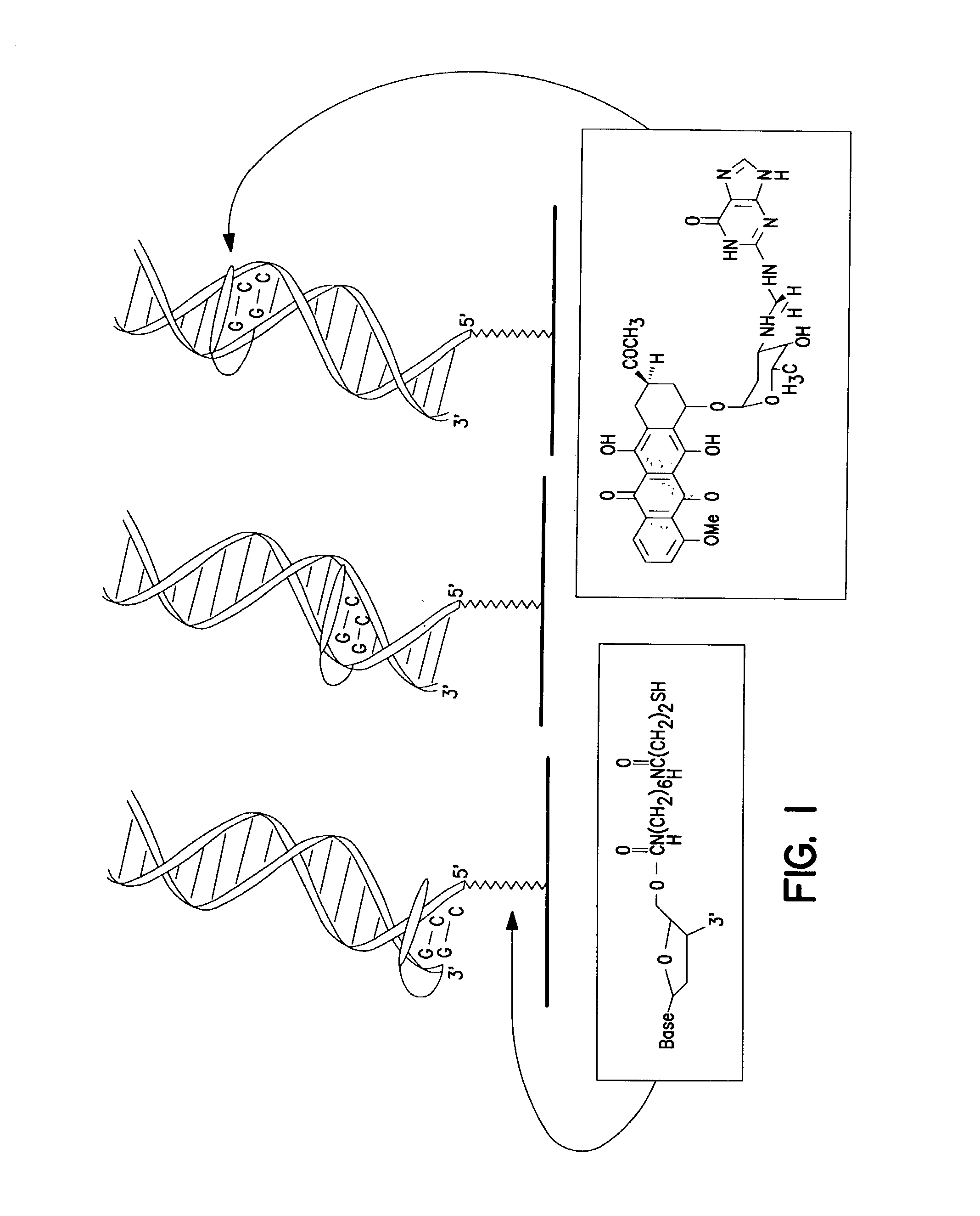 Electrochemical sensor using intercalative, redox-active moieties