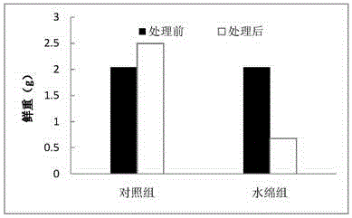 Botanical algaecide for filamentous algae and preparation method of botanical algaecide