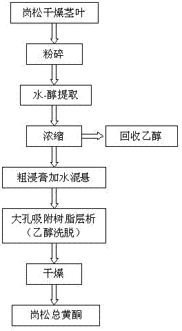 Preparation and quality control method of gangsong general flavones