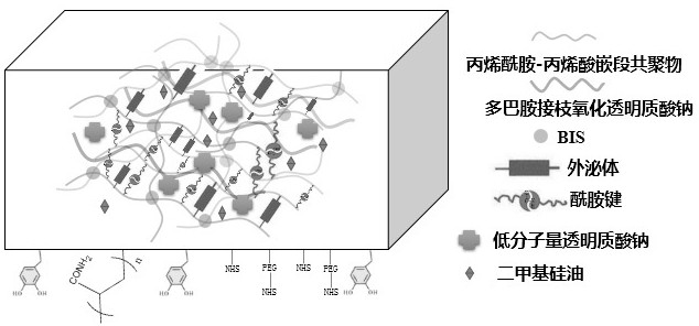 Adhesive hemostatic film for promoting healing and preparation method thereof