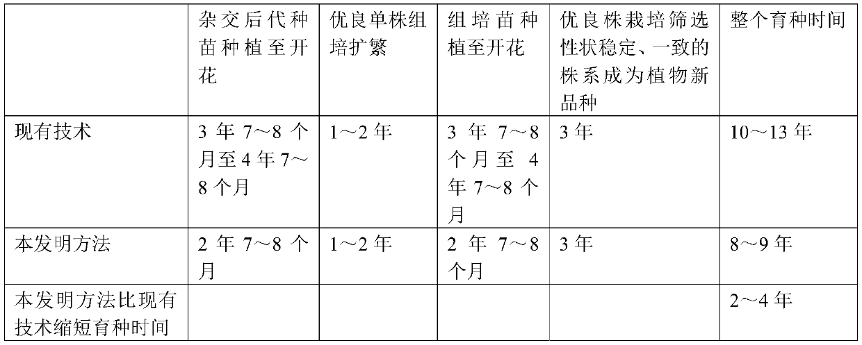 Soilless culture method for promoting rapid flowering of seedlings of alpine rhododendron pink lady