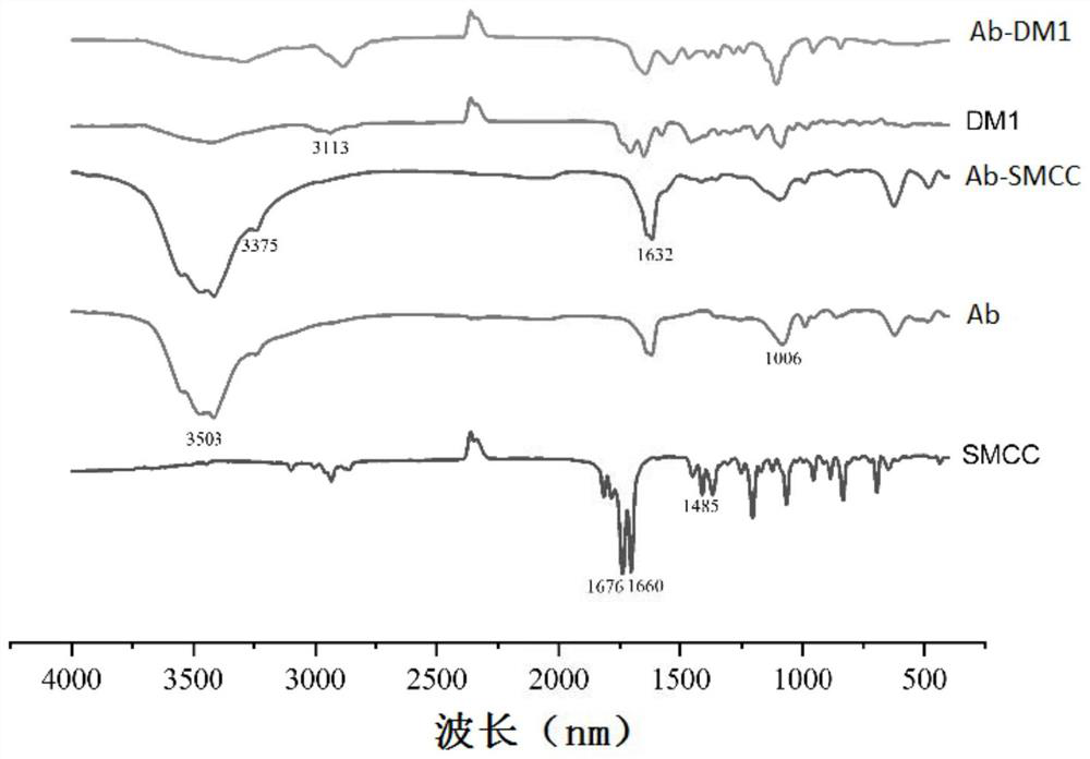 A kind of antibody-conjugated drug against claudin 6 and its application