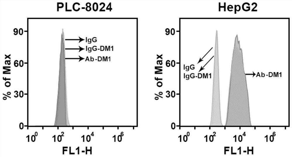 A kind of antibody-conjugated drug against claudin 6 and its application