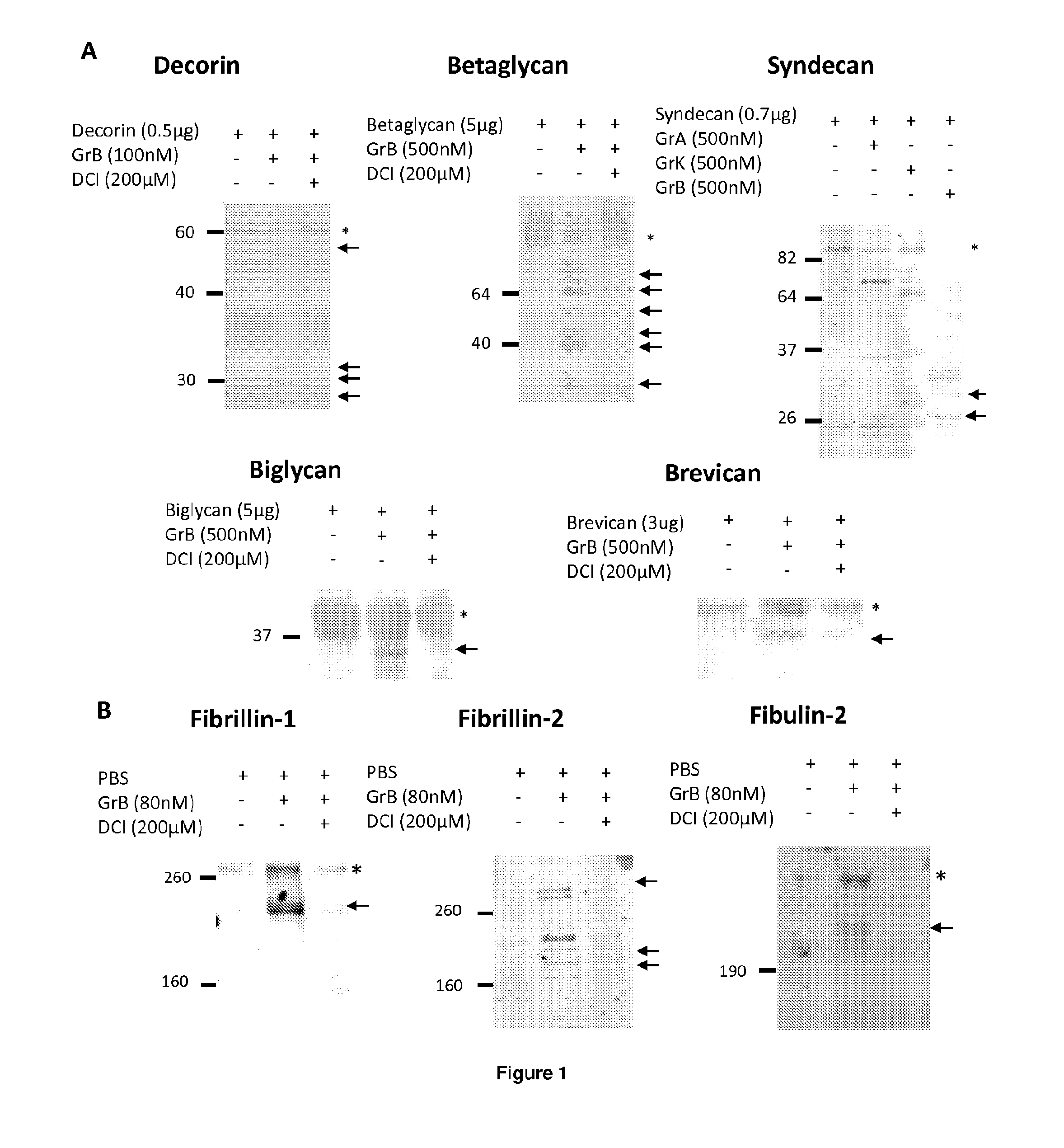 Granzyme b inhibitor compositions, methods and uses for promoting wound healing