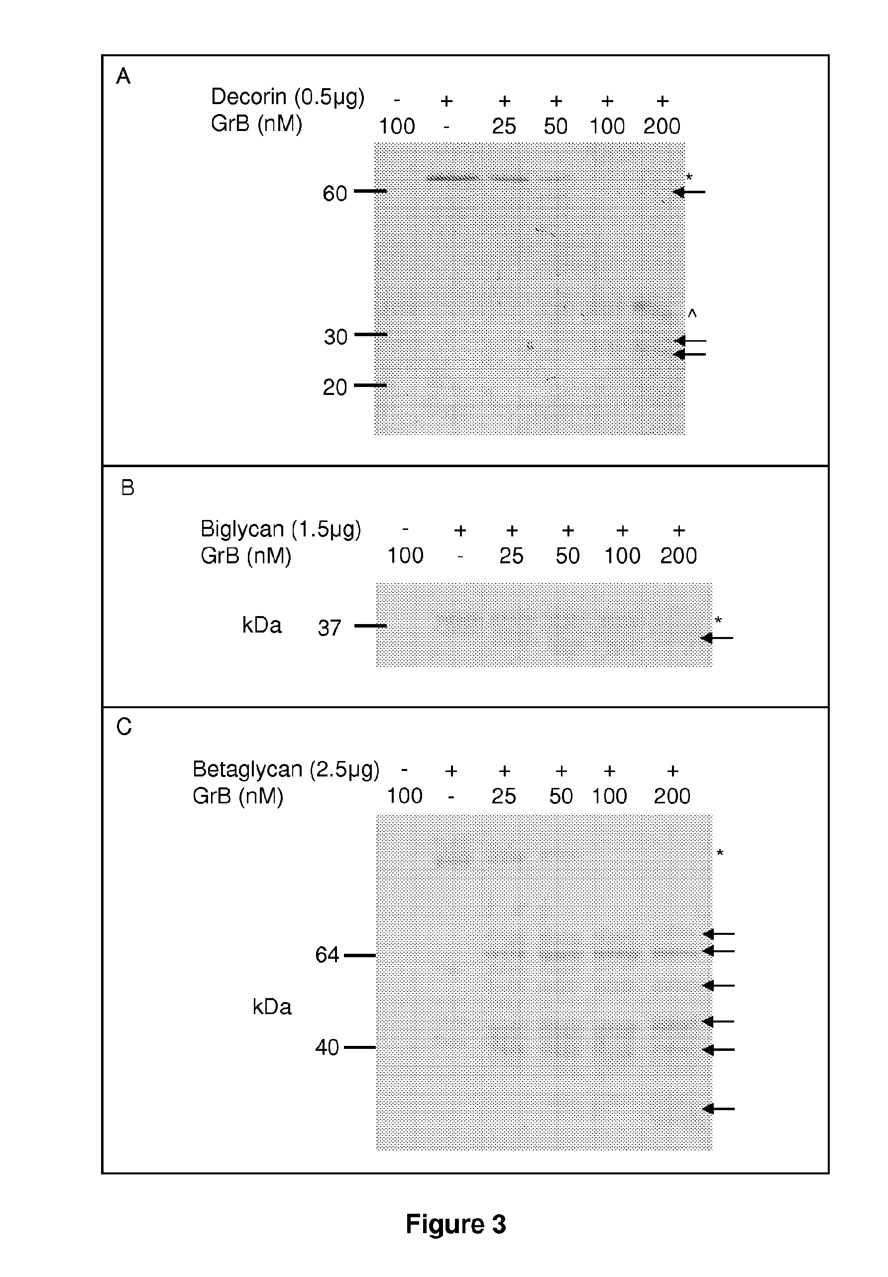 Granzyme b inhibitor compositions, methods and uses for promoting wound healing