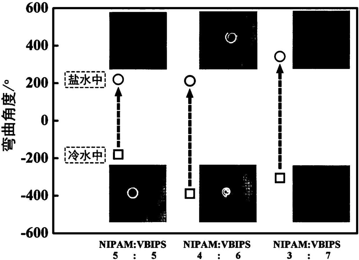 Preparation method, product and application of double-layer water gel with salt-temperature dual response