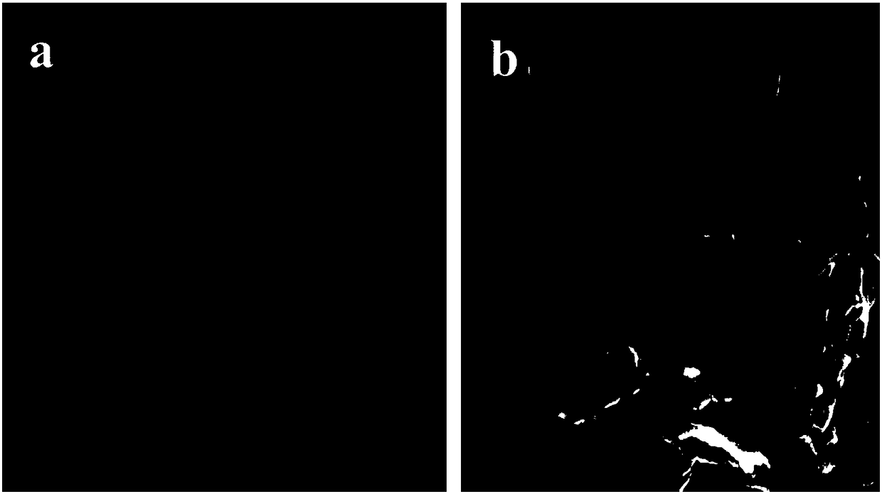 Ultrathin Ti-based LDHs composite photocatalyst for photoreduction of CO2 and preparation method thereof