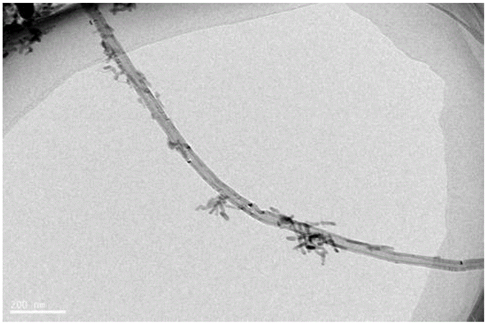 Preparation method of reinforced magnesium matrix composite