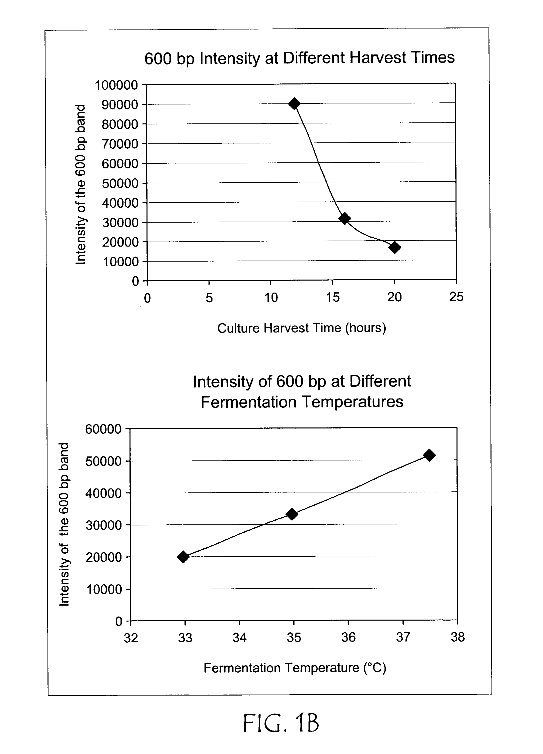 Avoidance of undesirable replication intermediates in plasmid propagation