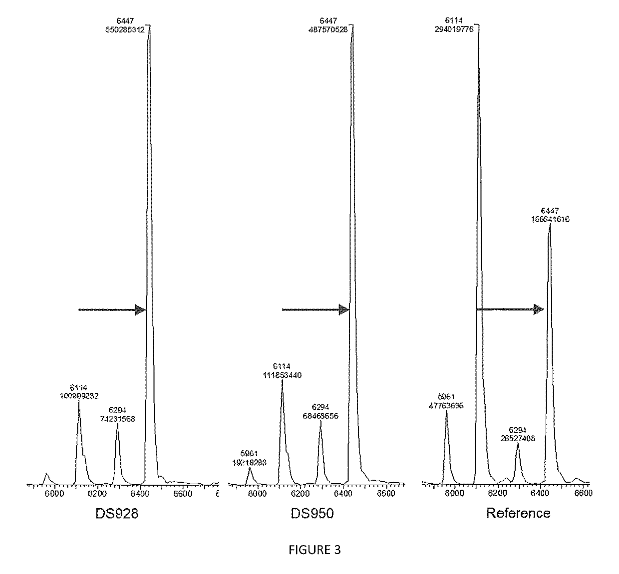 Variants of terminal deoxynucleotidyl transferase and uses thereof