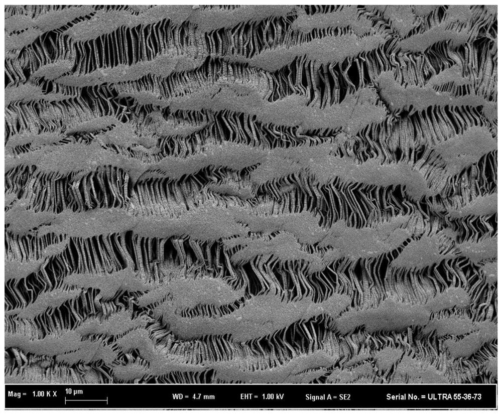 Preparation method of chlorine-resistant composite nanofiltration membrane