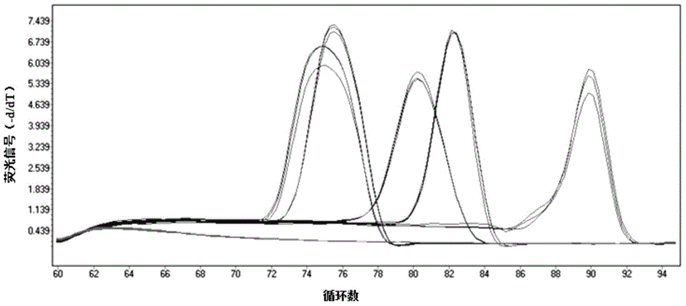 Transgenic soybean GTS40-3-2 and endogenous and exogenous gene multi-nested fluorescent quantitative PCR (polymerase chain reaction) detection primer combination method