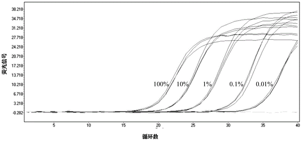 Transgenic soybean GTS40-3-2 and endogenous and exogenous gene multi-nested fluorescent quantitative PCR (polymerase chain reaction) detection primer combination method