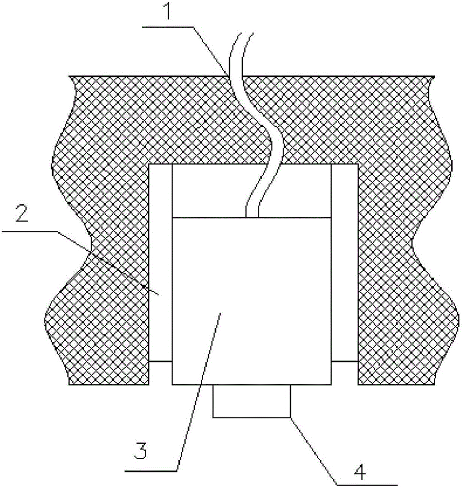 Bluetooth transparent transmission module with Type-C interface