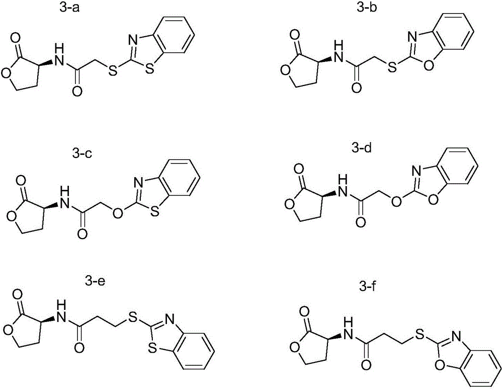 N-acyl-homoserine lactones substituted by benzo-heterocycle and preparation method and application thereof